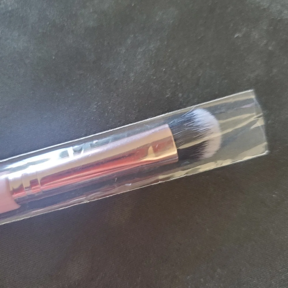 Elizabeth Mott all over shadow brush